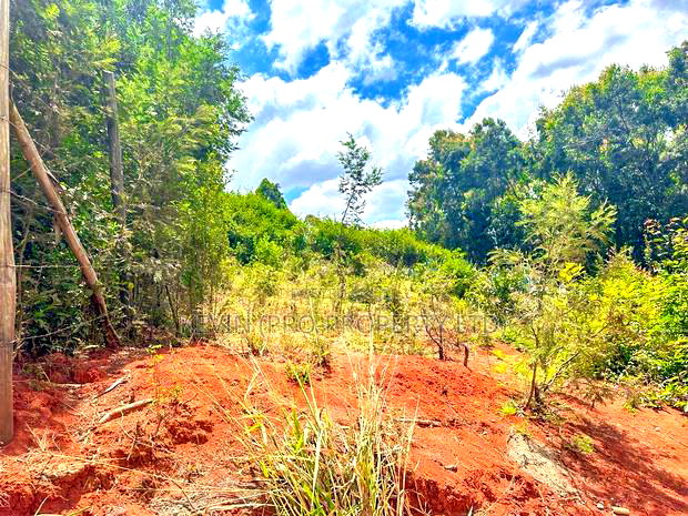 Prime Residential Plot for Sale Near the Southern Bypass.