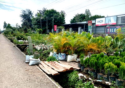 Half Acre Commercial Plot for KSh 100M