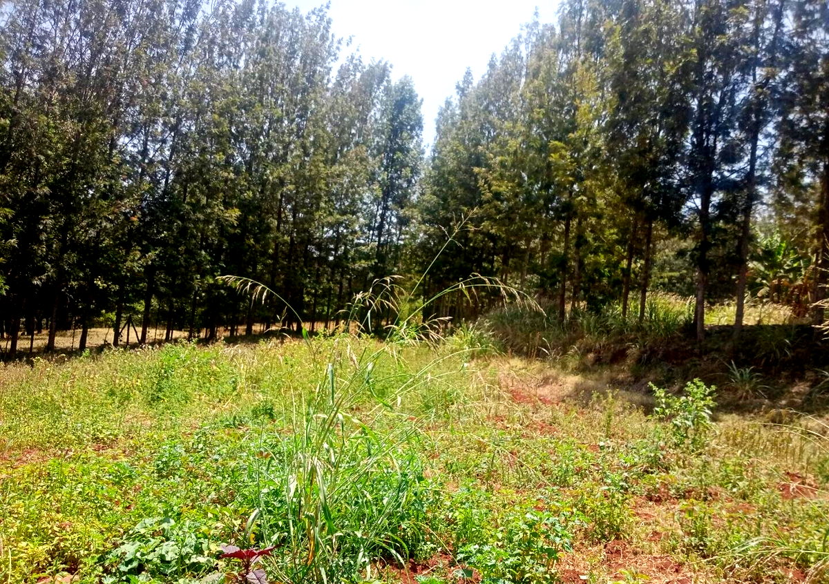 9.5-Acre Karen Land with Breathtaking Views