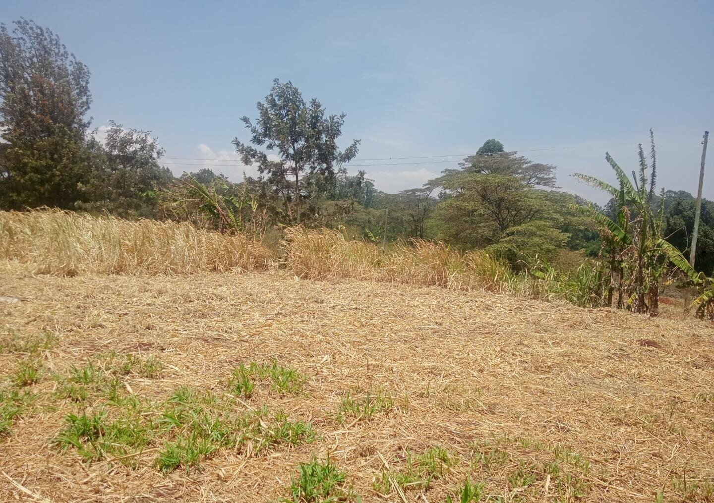 9.5-Acre Karen Land with Breathtaking Views