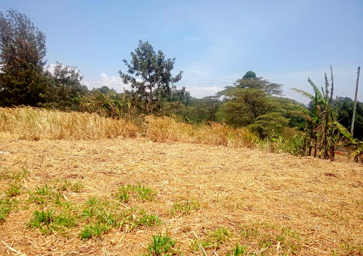 9.5-Acre Karen Land with Breathtaking Views