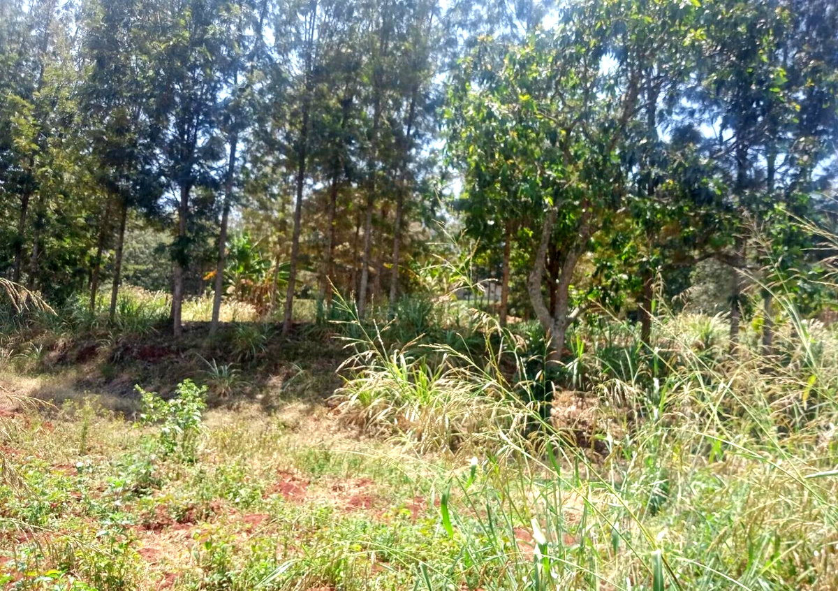 9.5-Acre Karen Land with Breathtaking Views