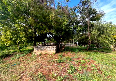 2-Acre Plot with Garden and Parking