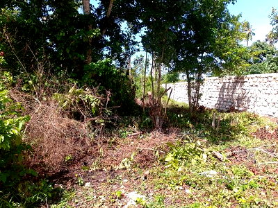 28-Acre Plot for Sale - Galu, Diani | Kshs. 10m Per Acre - Image 3