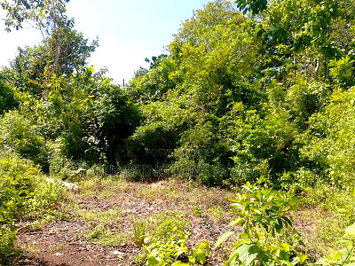 28-Acre Plot for Sale - Galu, Diani | Kshs. 10m Per Acre - Image 4