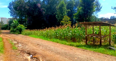 3/4 Acre Prime Land at KSh 95M