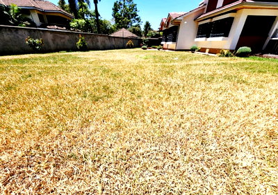 Half Acre 4BR Haven at KSh 300K