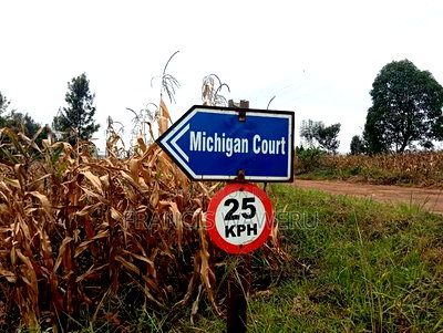 40 by 80 Residential,Githanji Estate,Kenol Town at KSH 2.2M. - Image 2