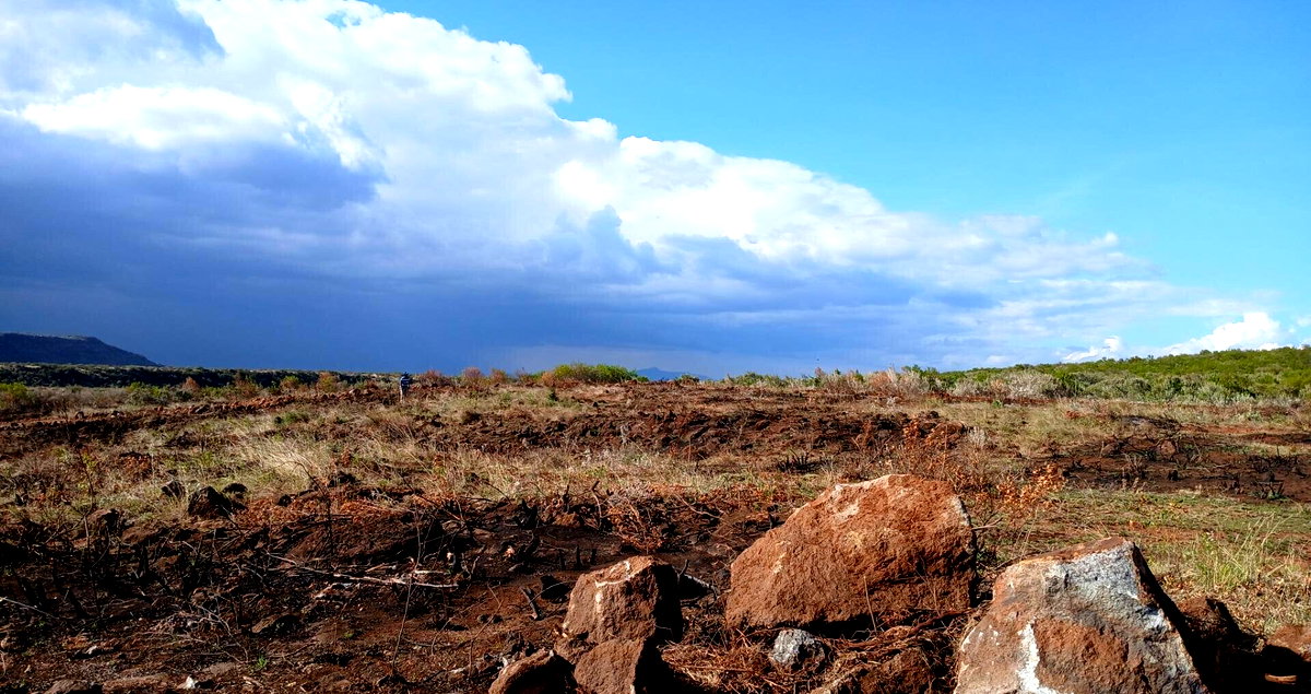 50x100 Plot for KSh 400K