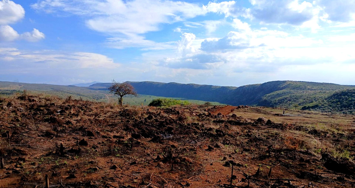 50x100 Plot for KSh 400K