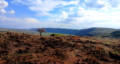 50x100 Plot for KSh 400K