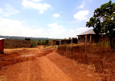 1/8 Acre Ready Title Plot - Ndumberi