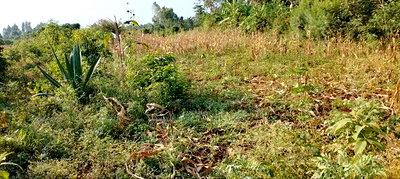 Bondo Opoda Junction - Image 3