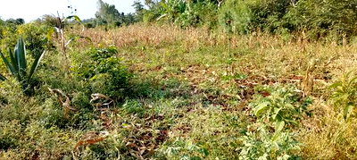 Bondo Opoda Junction - Image 1