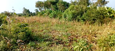 Bondo Opoda Junction - Image 2