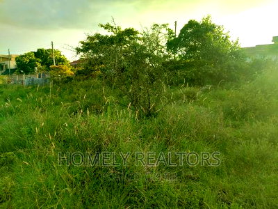 Half Acre Plot in Kandisi 200 Meters From the Tarmac - Image 2