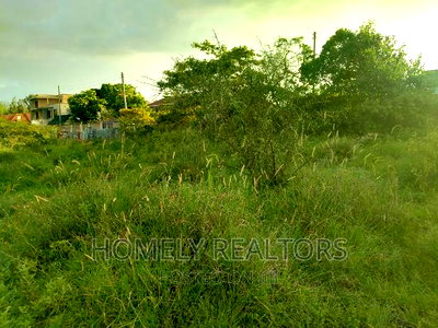 Half Acre Plot in Kandisi 200 Meters From the Tarmac - Image 3