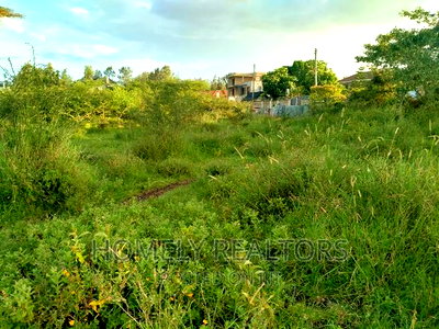 Half Acre Plot in Kandisi 200 Meters From the Tarmac - Image 1