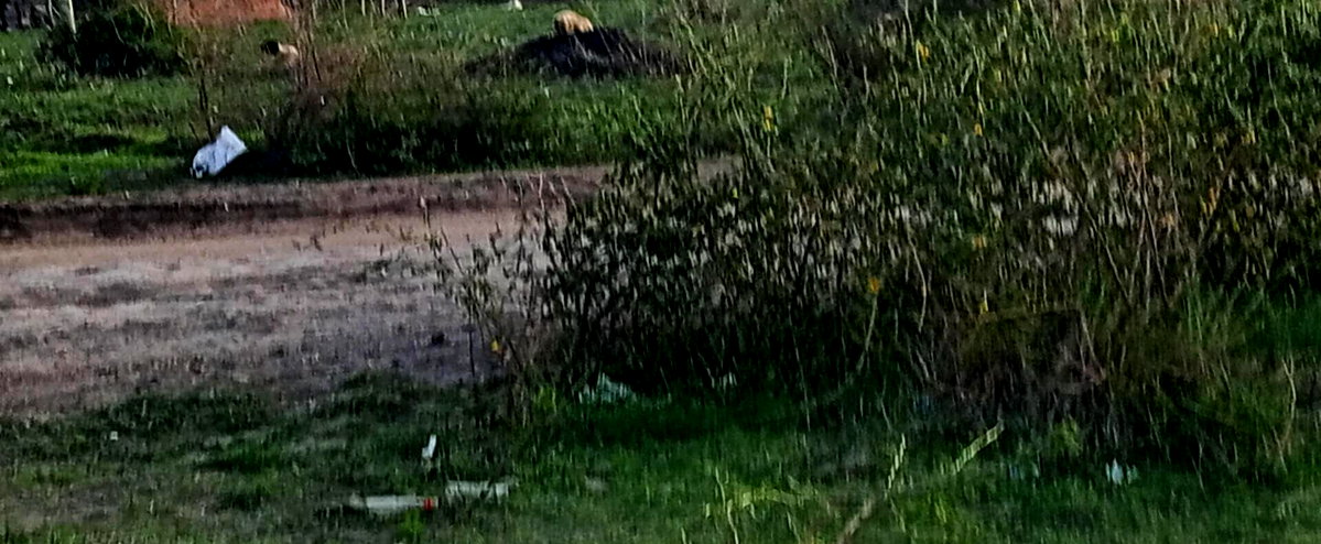 Garden Plot for KSh 1.2M
