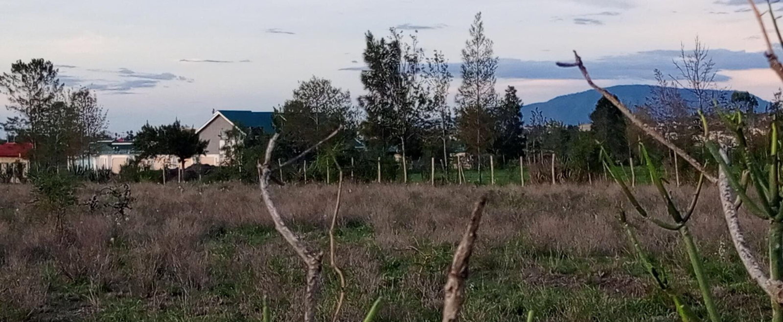 Garden Plot for KSh 1.2M