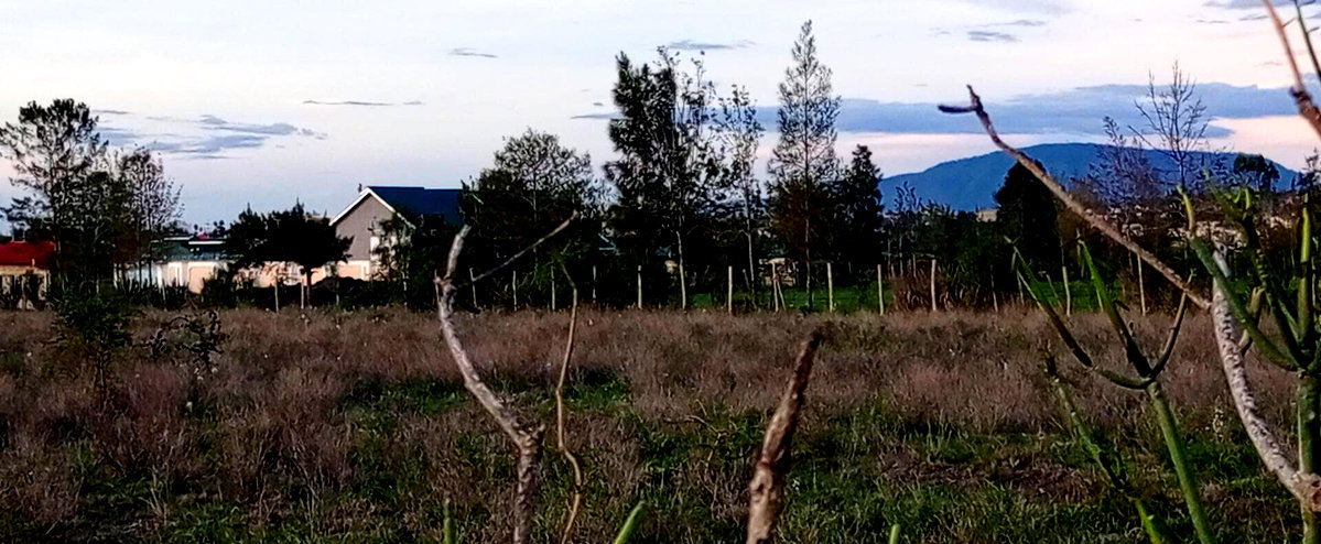 Garden Plot for KSh 1.2M