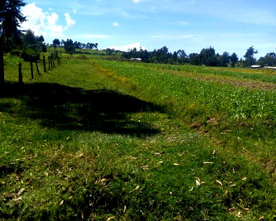 Land on Sale at Heni Kinangop - Image 1
