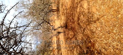 Prime 48 Acres Konza at 2.5m Per Acre - Image 6