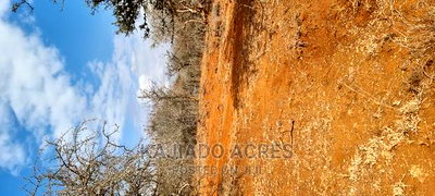 Prime 48 Acres Konza at 2.5m Per Acre - Image 4