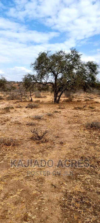Prime 48 Acres Konza at 2.5m Per Acre - Image 3