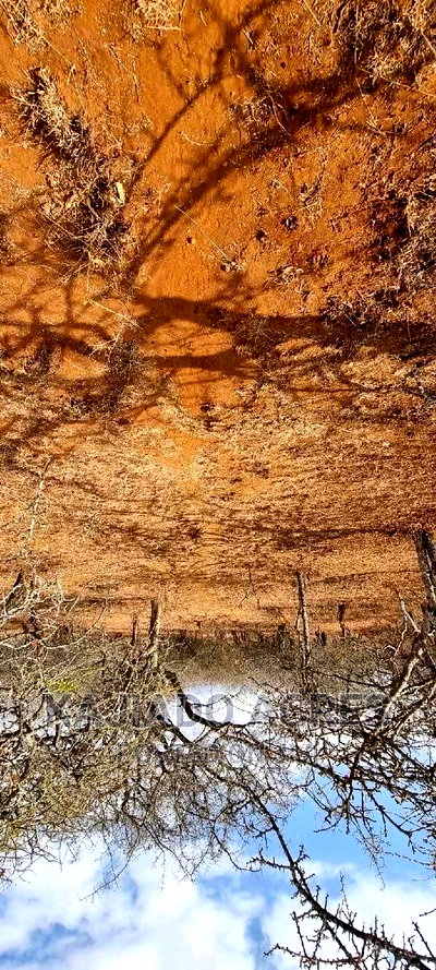 Prime 48 Acres Konza at 2.5m Per Acre - Image 2