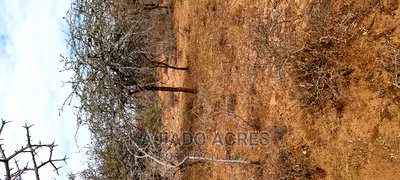 Prime 48 Acres Konza at 2.5m Per Acre - Image 9