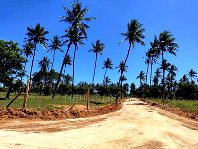 Plots For Sale Kilifi Chumani - Image 3