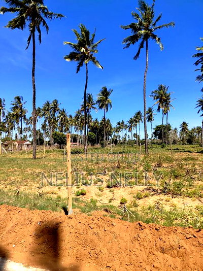 Plots For Sale Kilifi Chumani - Image 2