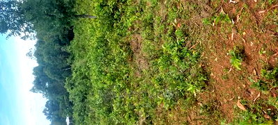 Ugenya Uholo - Image 2