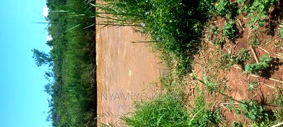 Ugenya Uholo - Image 6