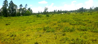 Ugenya Uholo - Image 4