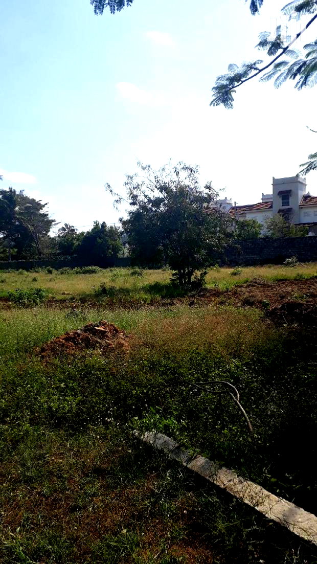 For Sale Half Acre Plot Nyali