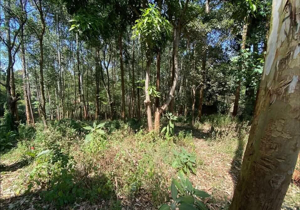Half Acre Garden Plot with Parking at KSh 70M