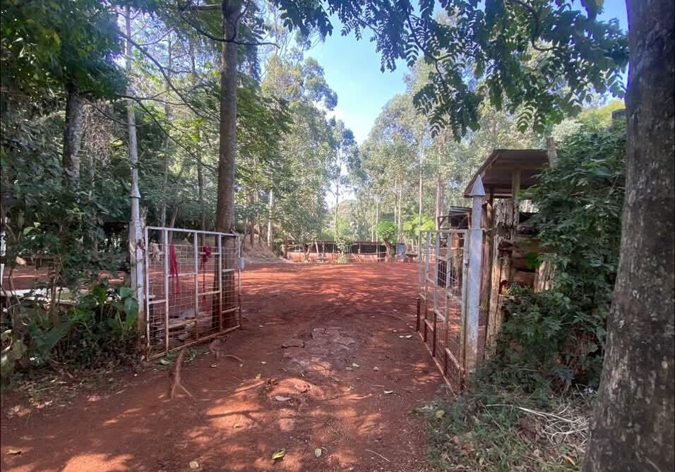 Half Acre Garden Plot with Parking at KSh 70M