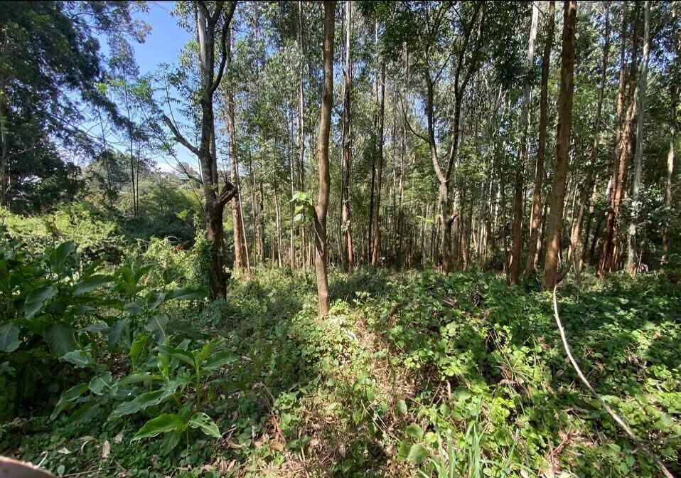 Half Acre Garden Plot with Parking at KSh 70M