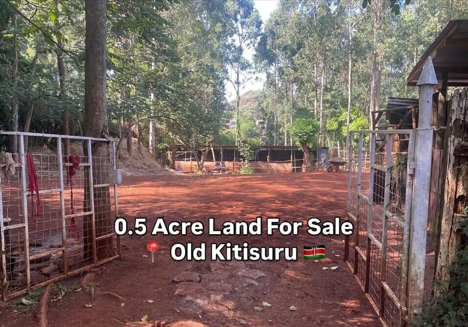 Half Acre Garden Plot with Parking at KSh 70M