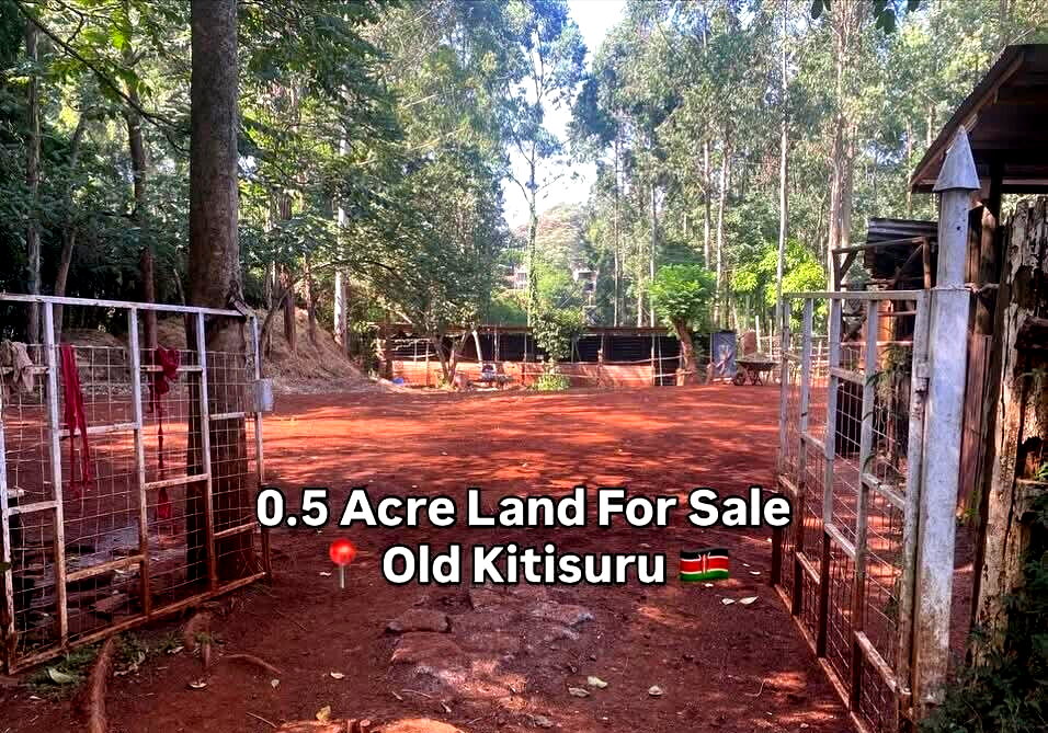Half Acre Garden Plot with Parking at KSh 70M