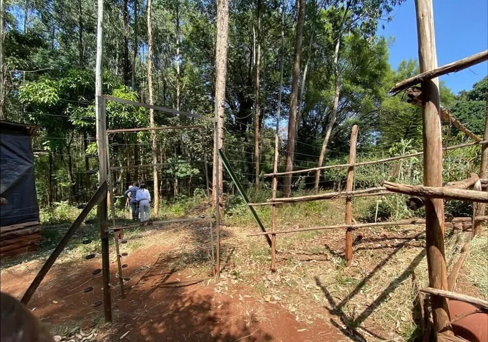 Half Acre Garden Plot with Parking at KSh 70M