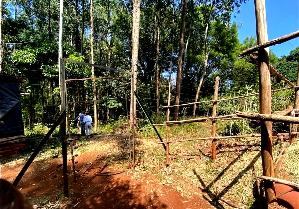 Half Acre Garden Plot with Parking at KSh 70M