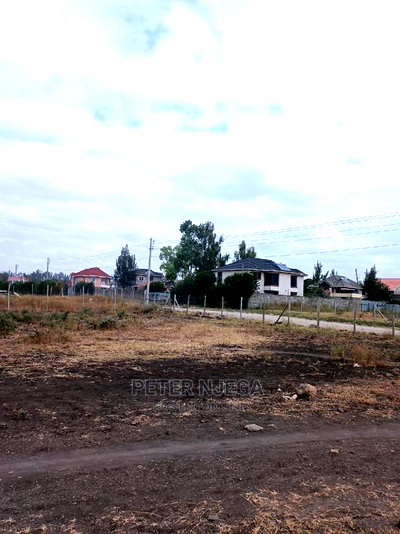 100x100 Plot in Mwananchi Road Syokimau for Sale - Image 2