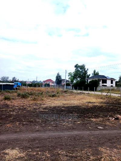 100x100 Plot in Mwananchi Road Syokimau for Sale - Image 3