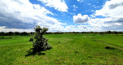 112-Acre Block with Garden & Parking