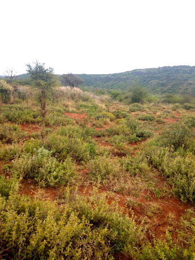 10 Acres Serachi Road at 190k Per Acre - Image 1