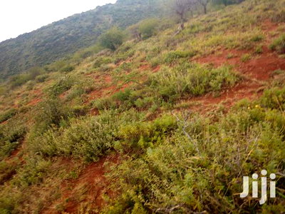 10 Acres Serachi Road at 190k Per Acre - Image 2