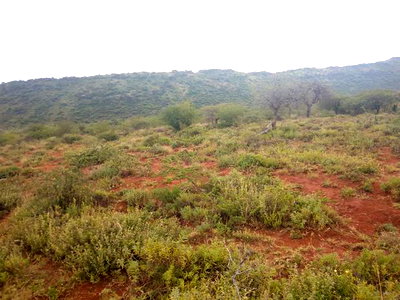 10 Acres Serachi Road at 190k Per Acre - Image 3